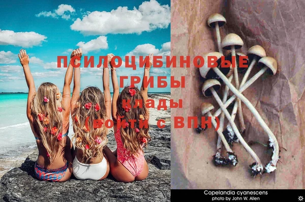 гидра Алзамай